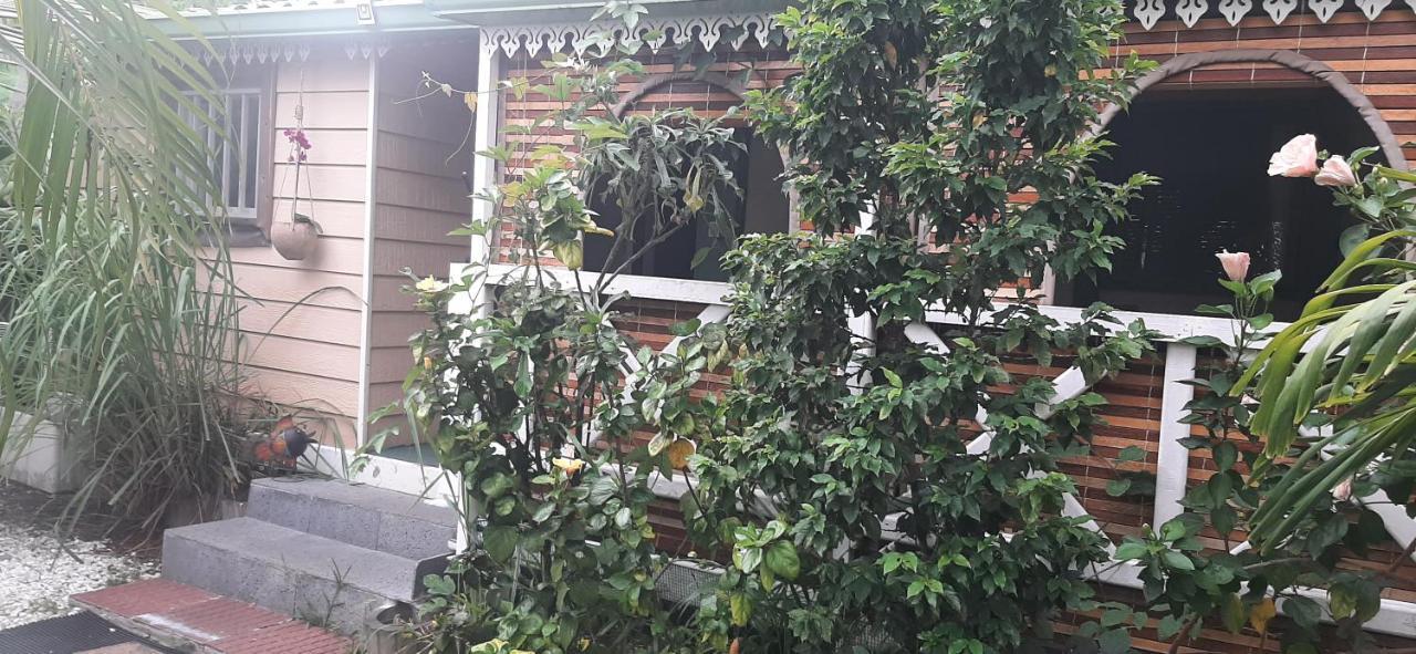 Les Anones Saint-Gilles-les-Bains Exterior foto